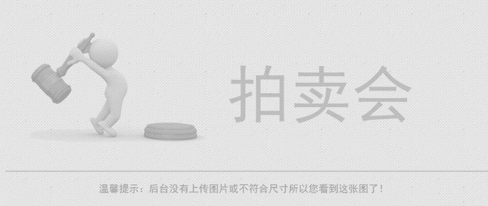 2025年3月13日事故车拍卖（测试）会